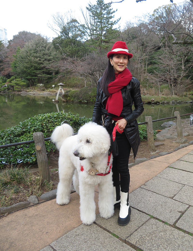 女優・歌手として活躍する、さやかと愛犬のテディくん