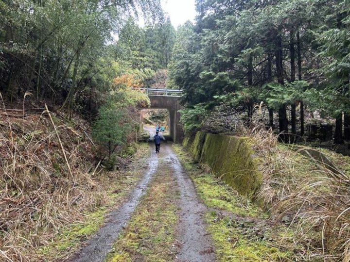 靴が見つかった場所は鬱蒼としている