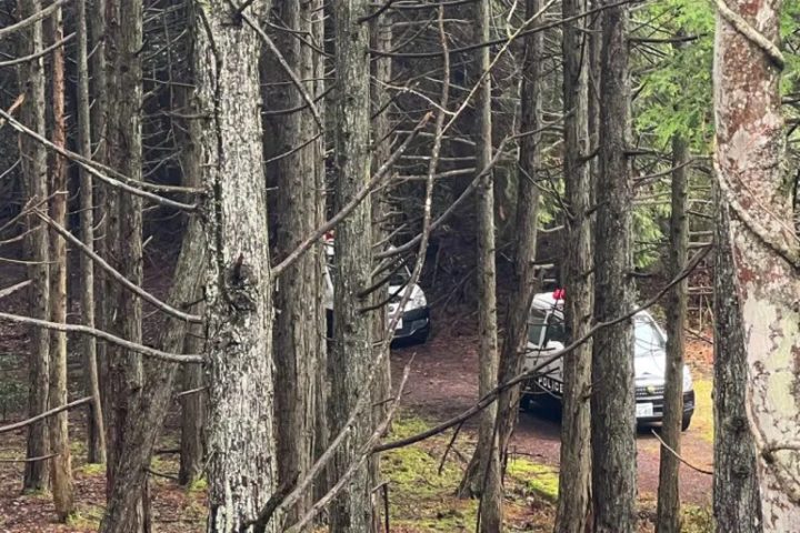 規制線の先にはパトカーが複数台停まっている