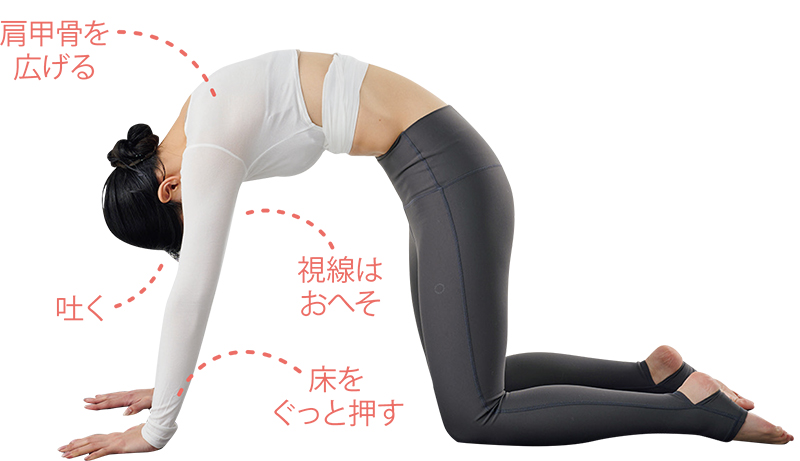 【2】息を吐きながら背中を丸める（キャット）