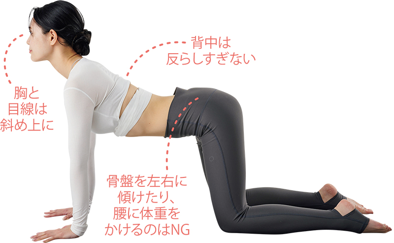 【3】息を吸いながら背中を反らす（カウ）