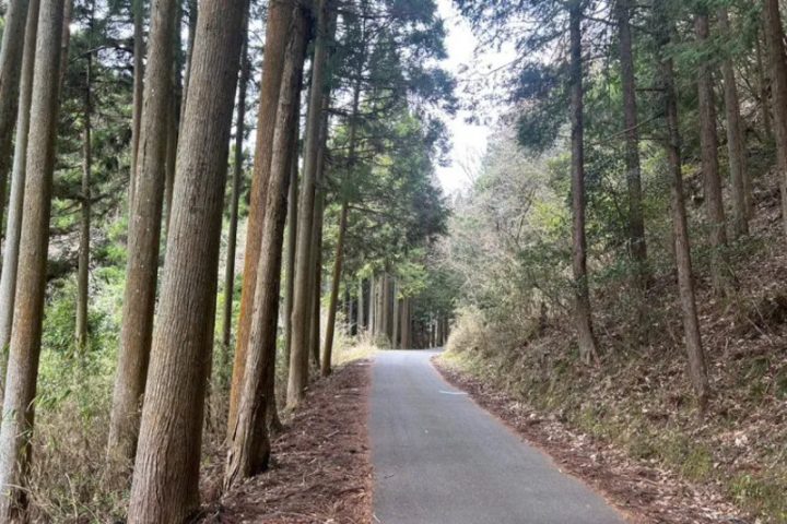 結希くんの通学リュックが見つかった山道