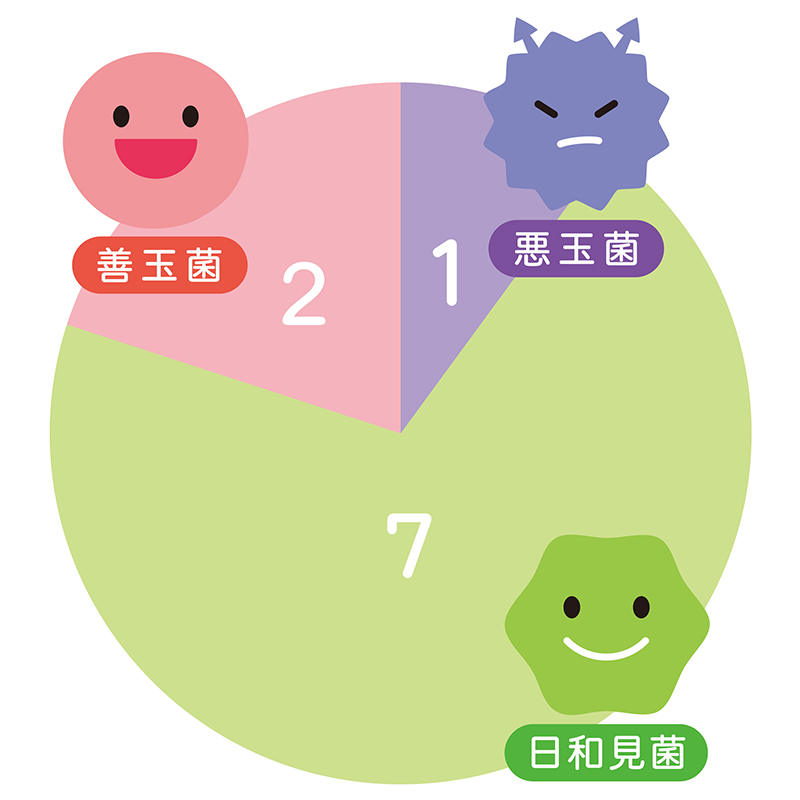 日和見菌は善玉菌にも悪玉菌にも分類されない腸内細菌で、バランスによって働きが変わる（イラスト／PIXTA）