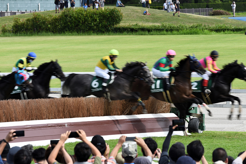 ギャンブルやお酒も、適量なら“百薬の長”（写真／PIXTA）