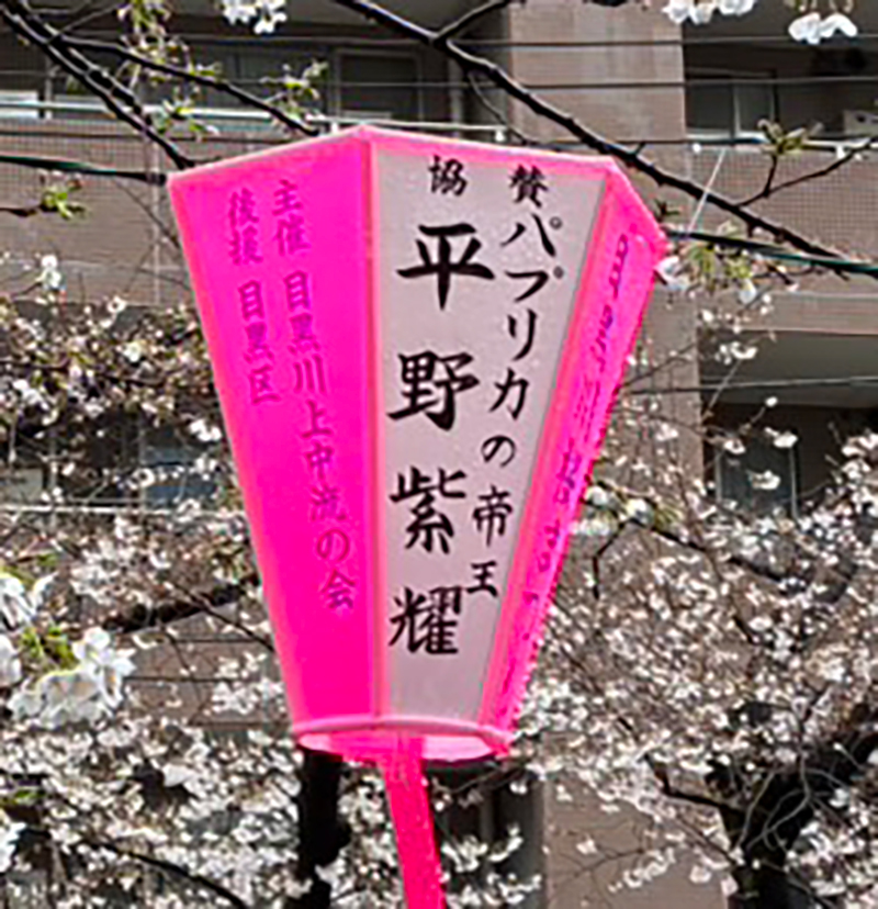 それぞれの思いがにじむ“平野担”の協賛ぼんぼり 