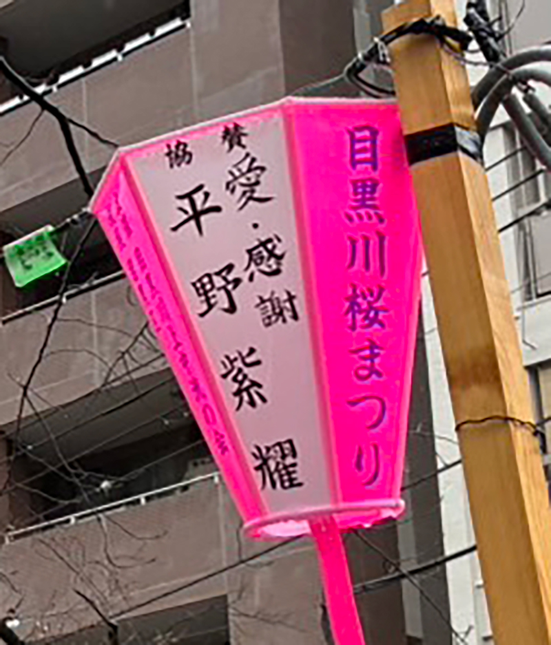 それぞれの思いがにじむ“平野担”の協賛ぼんぼり 