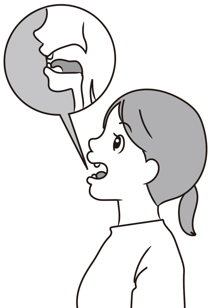 舌の先を下の前歯の裏に当てる（イラスト／藤井昌子）