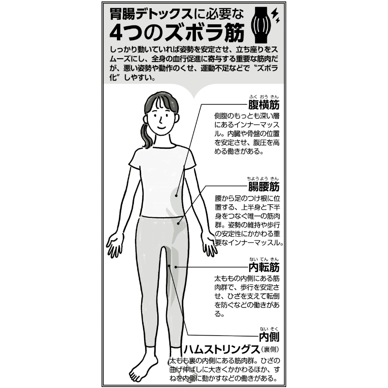 ズボラ筋の部位をチェック