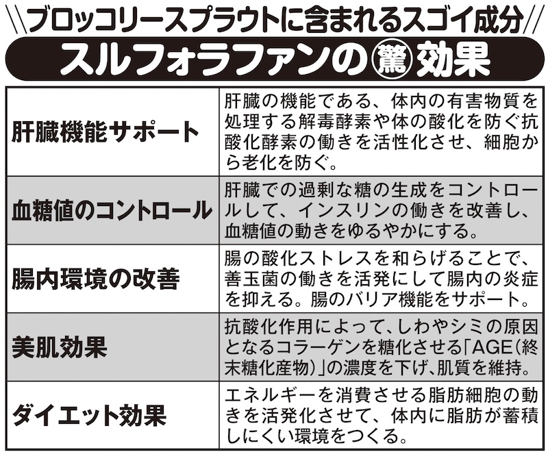 ブロッコリースプラウトに含まれる「スルフォラファン」の効果