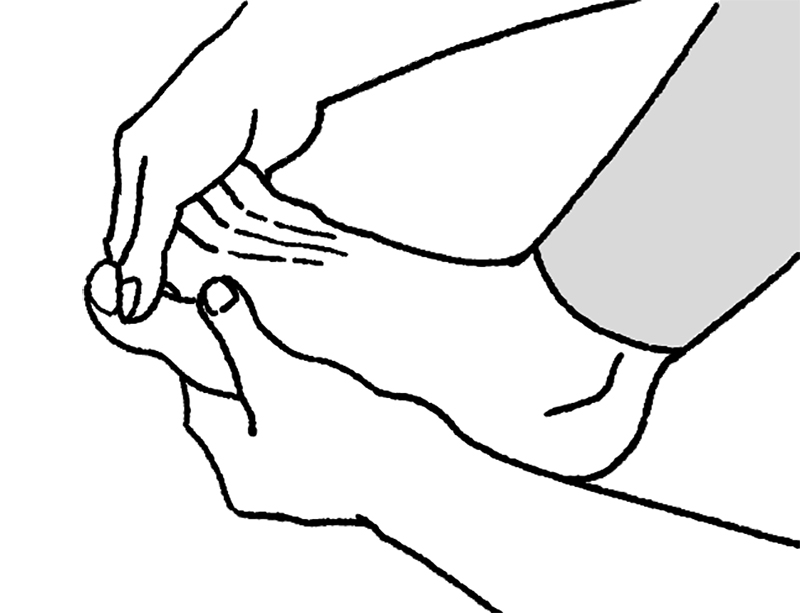 指先に向かってやさしく伸ばす