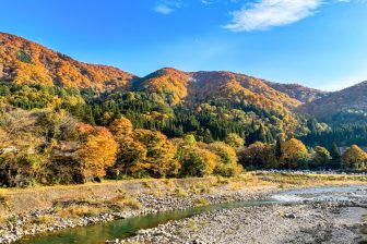 《実録事件簿》殺害された美人義母　最後に接触した”婿”はすでに死…