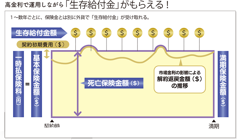 高金利で運用しながら「生存給付金」がもらえる！