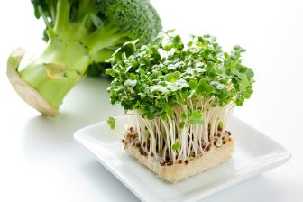 《ひとつまみで健康＆若返り？》今注目！ブロッコリースプラウトの栄養やパワーを引き出す食べ方…