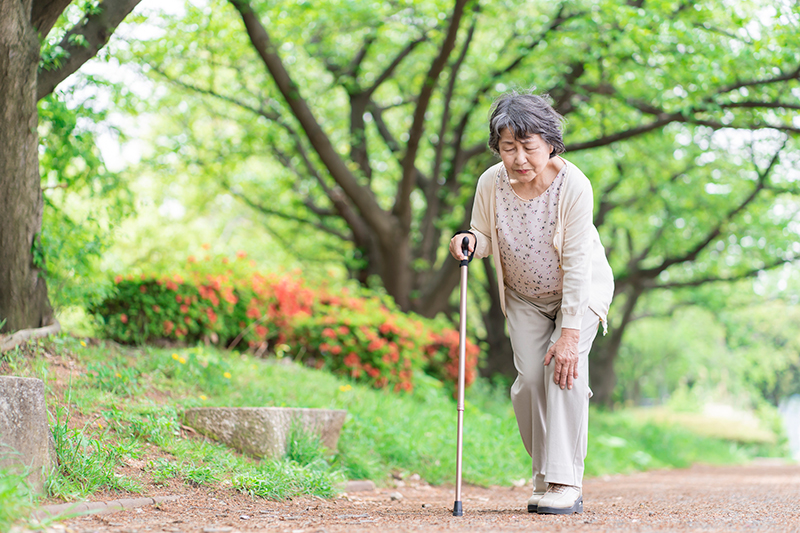 歩く力が衰えると老いが進む（写真／PIXTA）