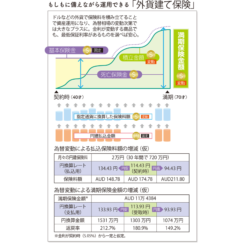 外貨建て保険の仕組み