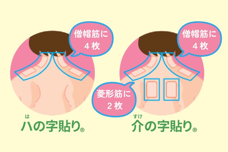 コリや痛みを感じる範囲をカバーするように貼ればOK