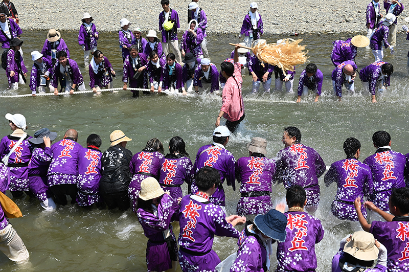 「エンヤ！」のかけ声のもと、五十鈴川に浮かべられた木材を引っ張る市民（2026年8月、三重県伊勢市。撮影／JMPA）