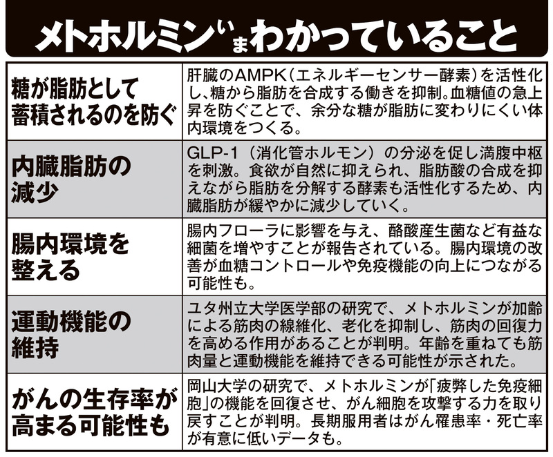メトホルミンいまわかっていること