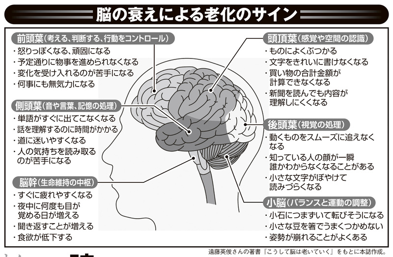 脳の衰えによる老化のサイン
