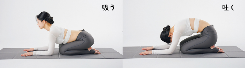 ひじを床につけて行うと簡単！