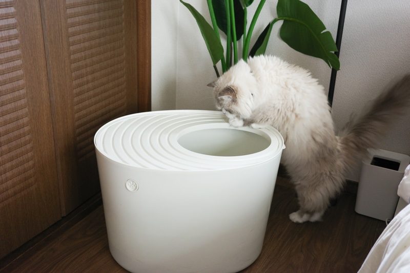 アイリスオーヤマの「上から猫トイレ」はデザインも機能も◎！