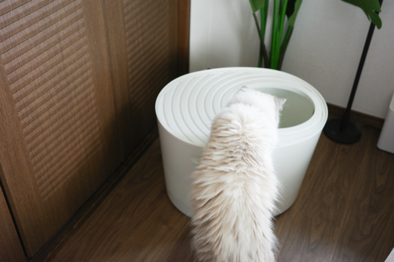 猫トイレっぽくないシンプルさがgood