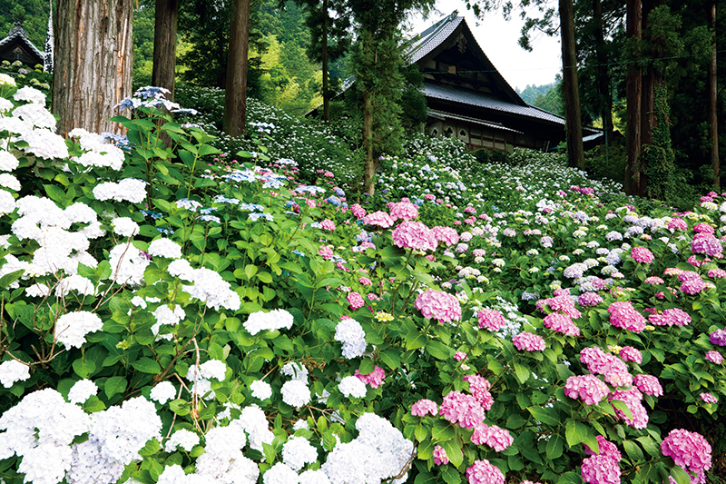 徳栄山 妙法寺（とくえいざん みょうほうじ／山梨県）