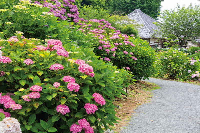 千光寺（せんこうじ／福岡県）