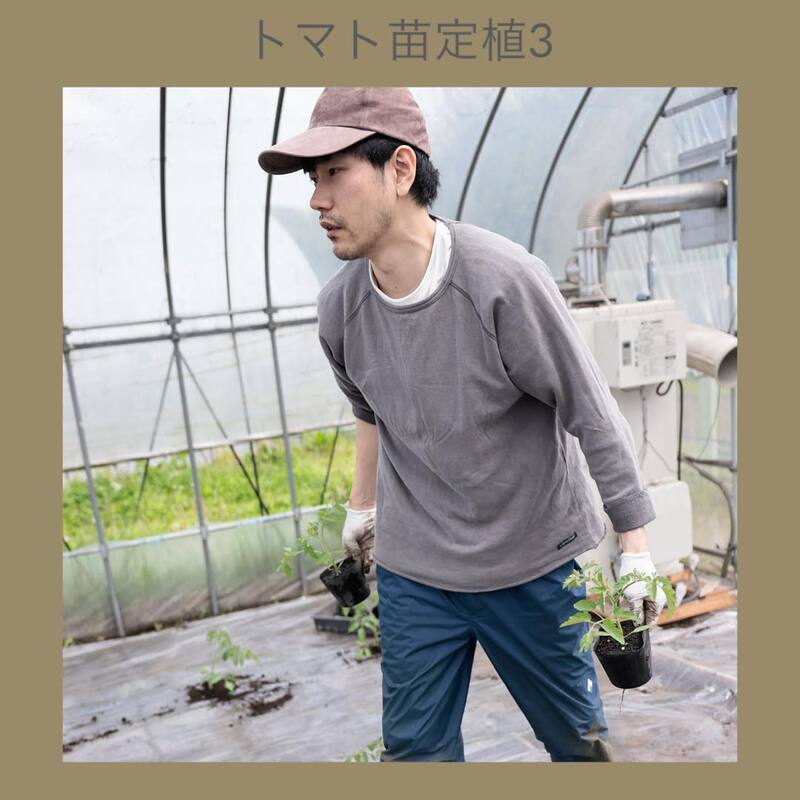 定植をする松山（松山のインスタグラムより）