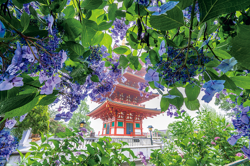 高幡不動尊金剛寺（たかはたふどうそんこんごうじ／東京都）