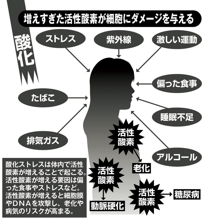 増えすぎた活性酸素が細胞にダメージを与える