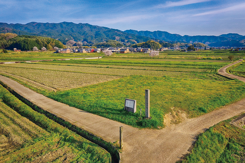 大官大寺跡　写真提供：世界遺産「飛鳥・藤原」協議会