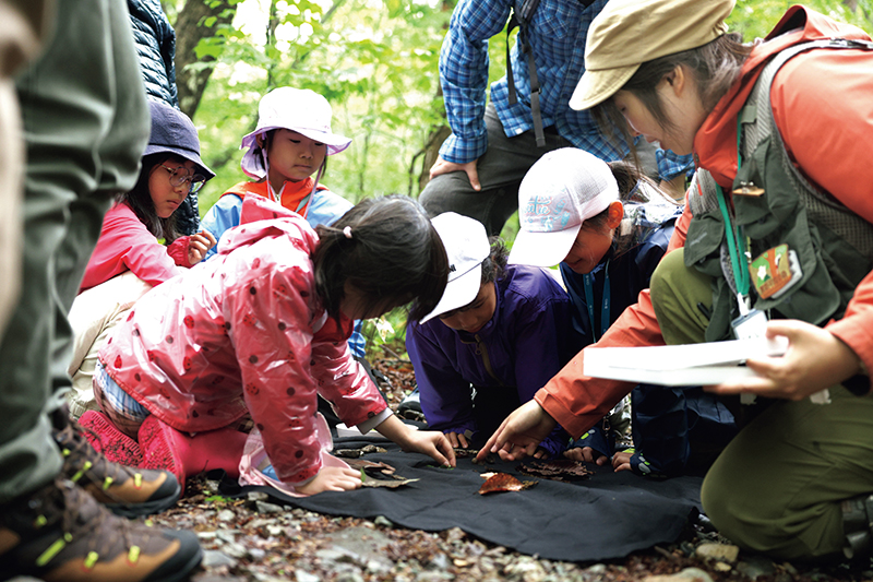 森の案内人によるガイドウォークや森を楽しむプログラムも随時開催。大人から子供まで森の動植物と触れ合える（提供写真）