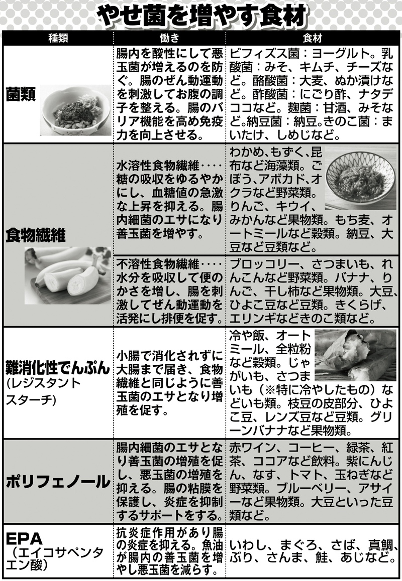 やせ菌を増やす食材