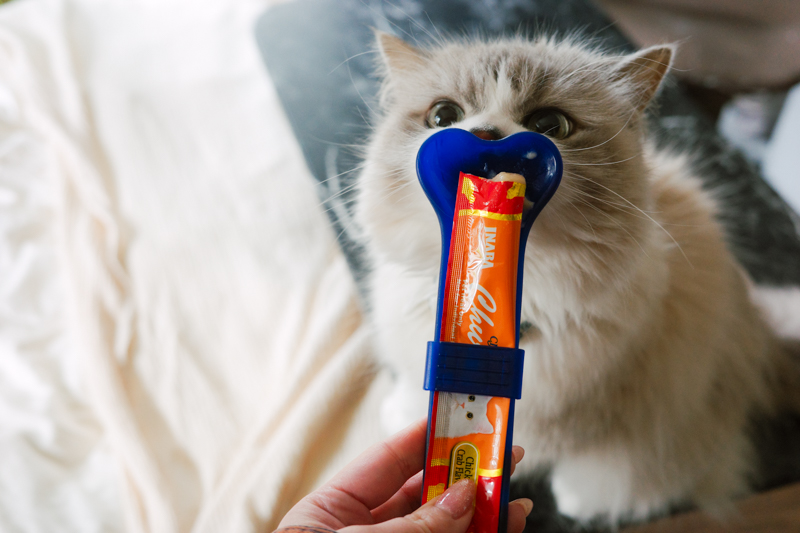 「はやくくれにゃ」