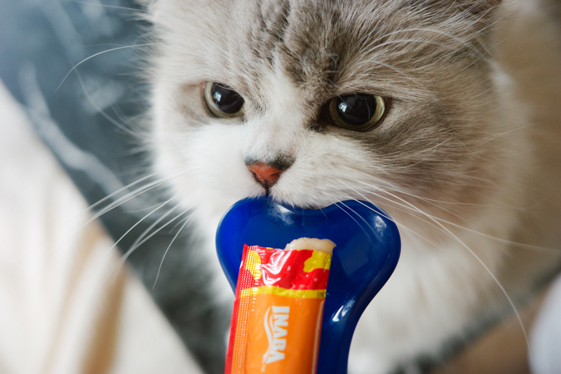 有名な「CIAO ちゅ～る」に専用スプーンがあった！