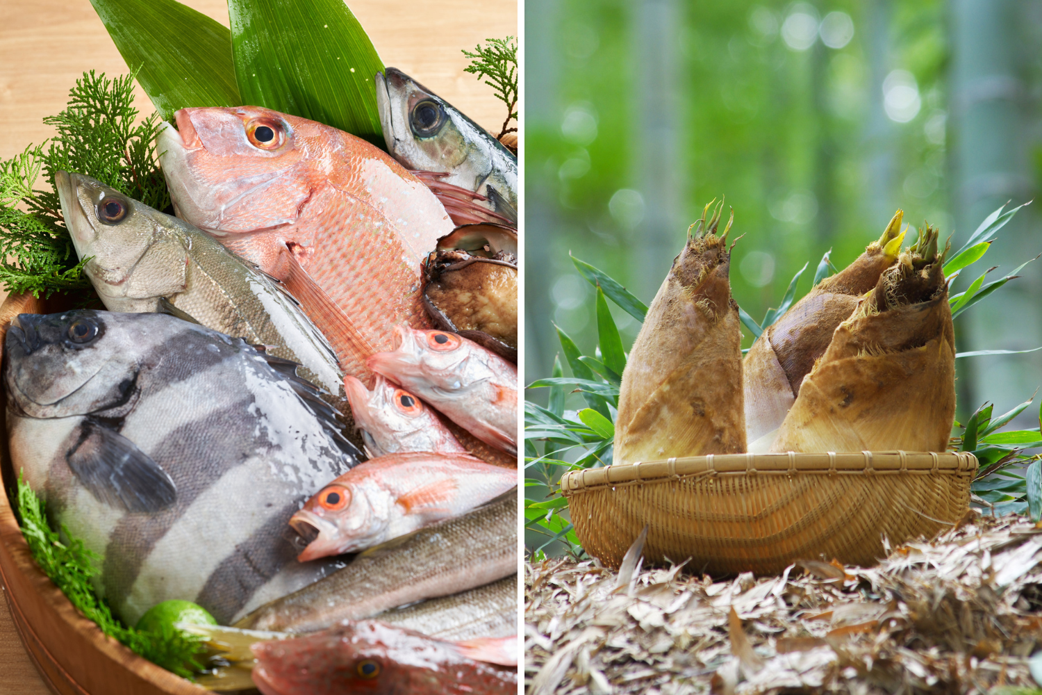 丸魚は捌けない、タケノコは下処理が大変といった声が。共感できる人も多いのでは（写真／PIXTA）