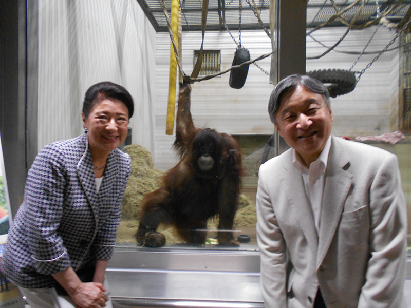 オランウータンのジェニファーと記念撮影をされた両陛下（宮内庁提供）