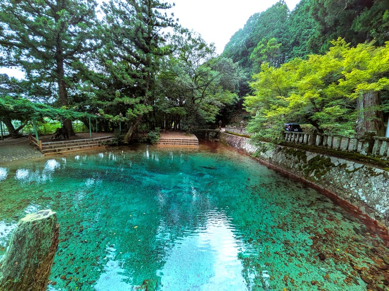 ※別府弁天池は「日本名水百選」にも選定され、湧水を汲んで持ち帰ることもできる。紅葉が美しくアクセスが整う山口DCの期間中にぜひ
