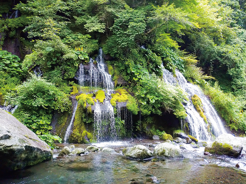 吐竜（どりゅう）の滝／山梨県　（C）坂崎絢子