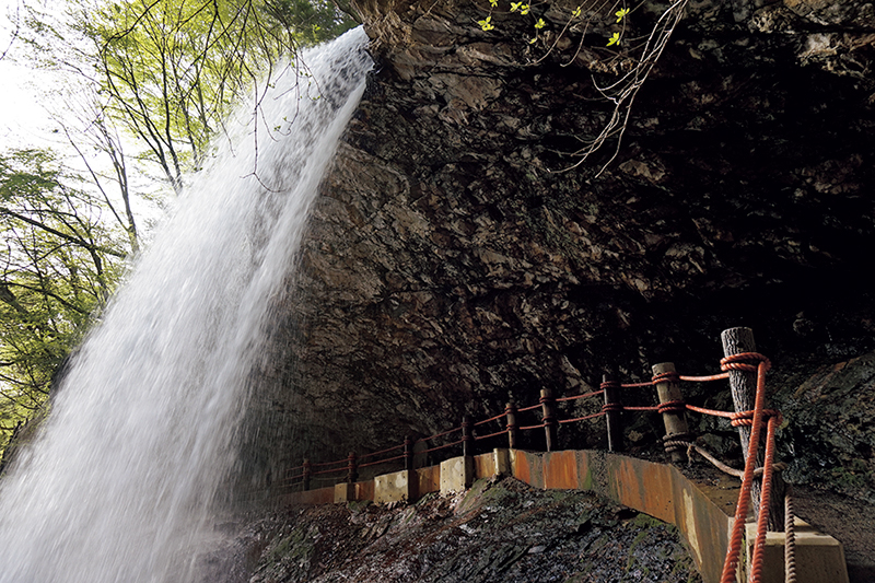 雷滝（かみなりだき）／長野県　（C）佐竹 敦
