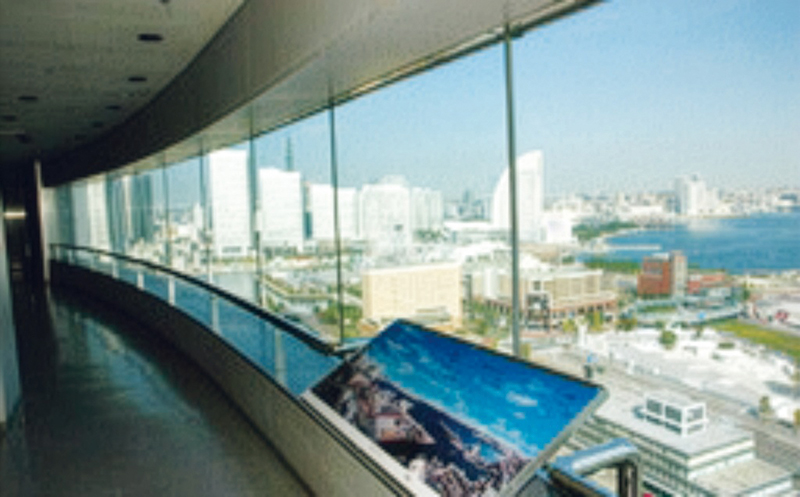 展望ロビーからの眺め（提供写真）