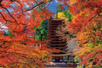 《この秋行きたい「紅葉の名所」19選！》風景カメラマン、名所・旧跡ガイドらプロが勧める絶景ス…