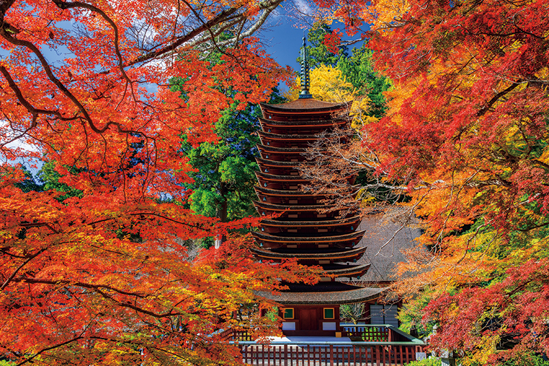 プロが推す「紅葉の名所」19選！写真は奈良の談山神社