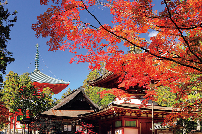 高野山【和歌山】