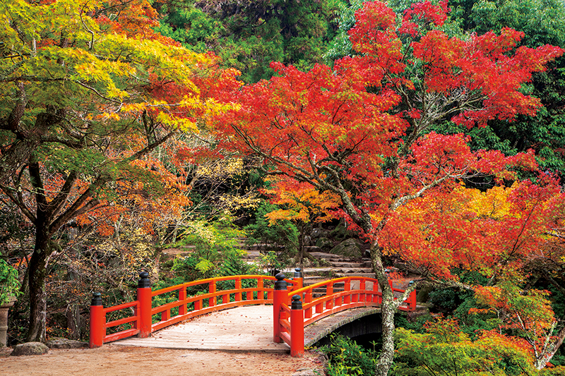 紅葉谷公園【広島】