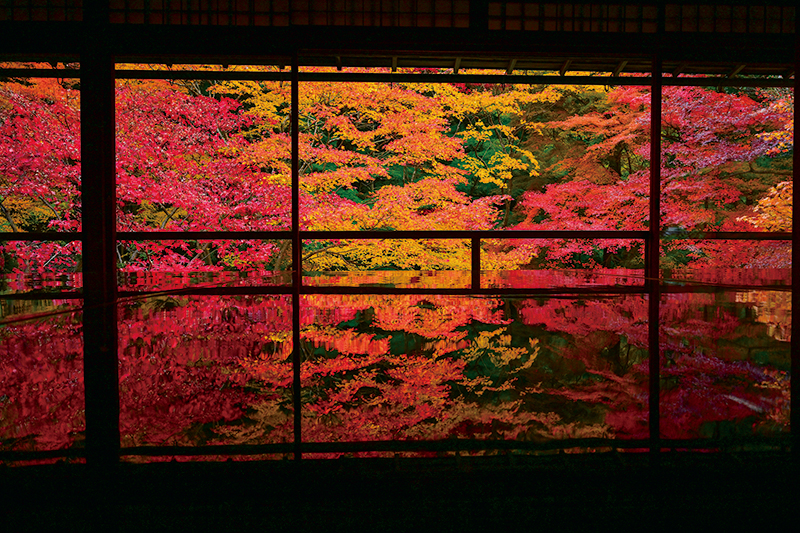 無量寿山光明寺 瑠璃光院（るりこういん）【京都】