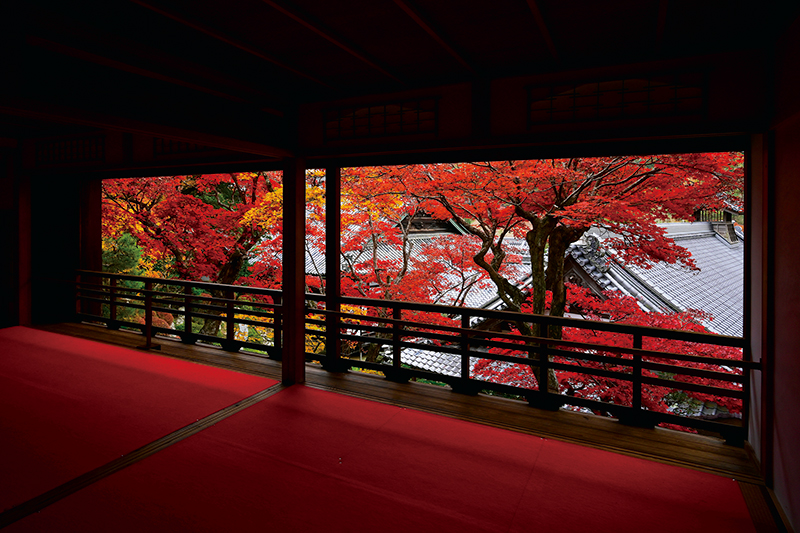 柳谷（やなぎだに）観音楊谷寺（ようこくじ）【京都】