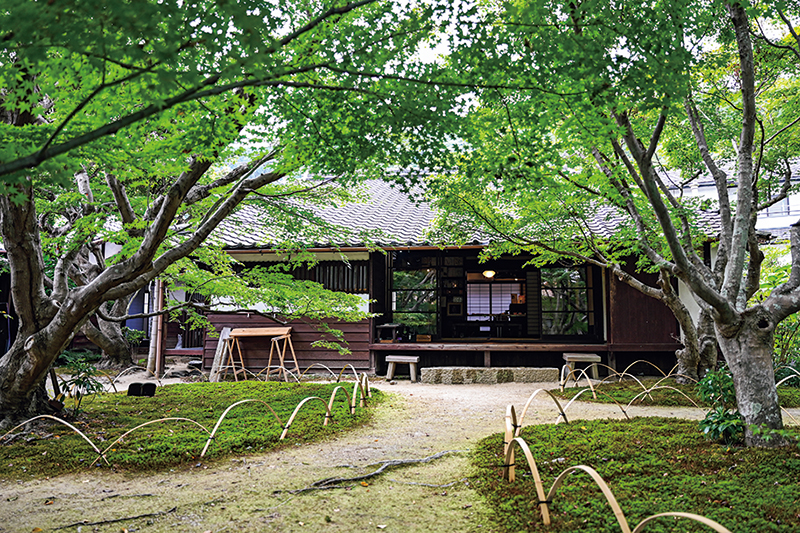 小説『薄墨の桜』のモデルとなった岐阜県根尾村の老樹に由来する桜も植えられている。千代の誕生日の11月28日頃、約50本の紅葉が真っ赤に色づき、庭は錦繍に染まる。