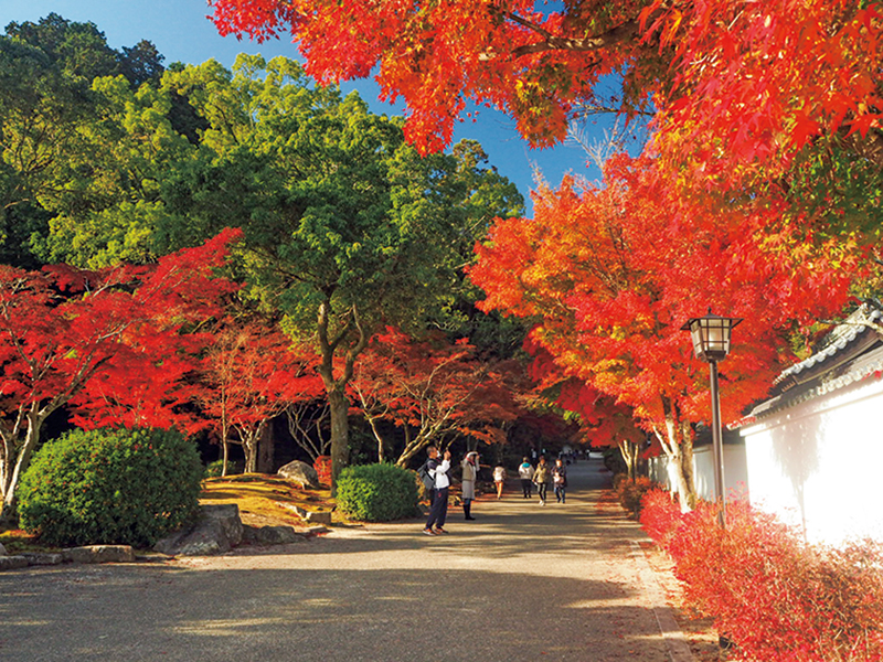 紅葉谷公園